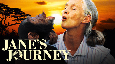 Trailer image